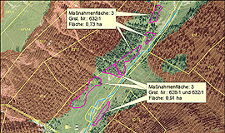 alpine pastures conservation program Salzburg