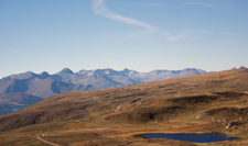 habitat replacement planning to alpine roads