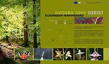 Schutzgebietsentwicklung Natura 2000 Gebiet Elsgraben-Mannsberg