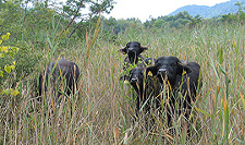 protected area development ramsar site