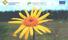 project management NATREG (EU-program transnational cooperations south east europe)